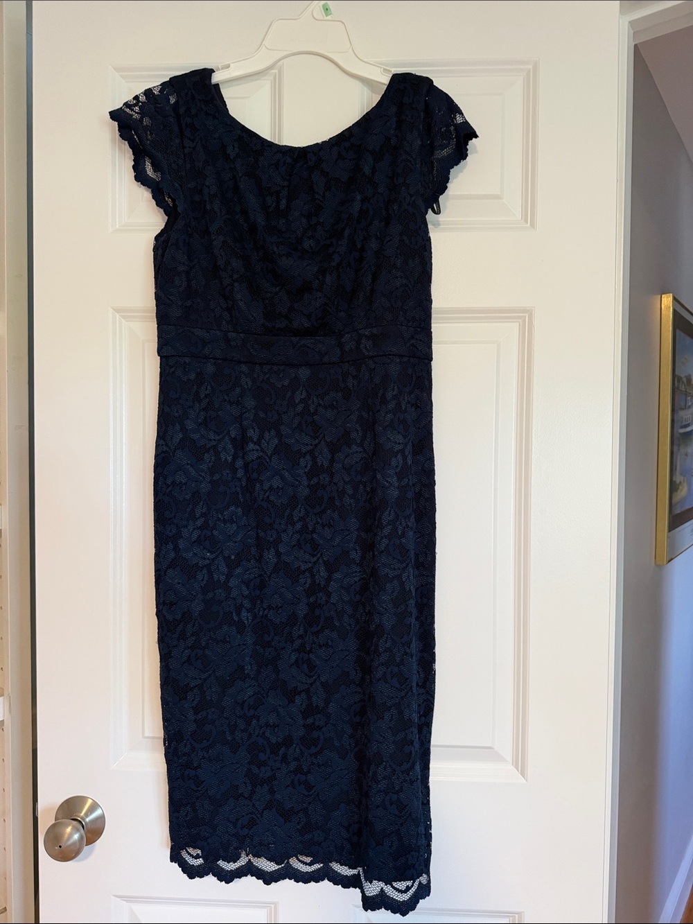 Calvin Klein Navy Lace Midi Dress with Cap Sleeves